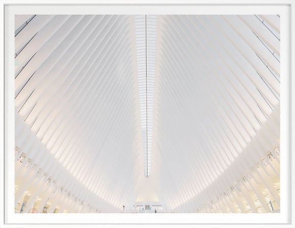 FAVRE, LUDWIG Oculus 1